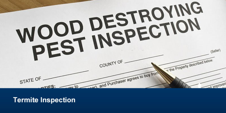 How Often Should I Have A Termite Inspection? I Pro Inspections Brisbane